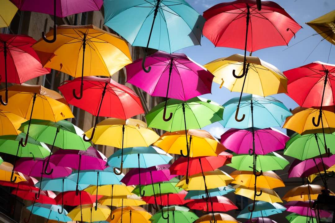 Personal umbrella insurance reviews